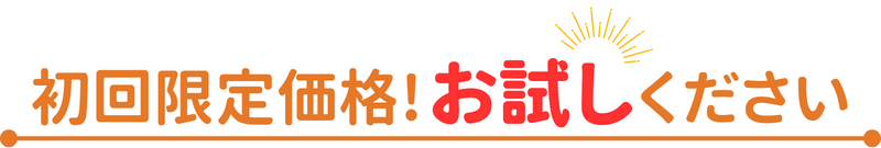 初回限定価格!お試しください